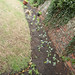Kevin Broccoli Photo 26
