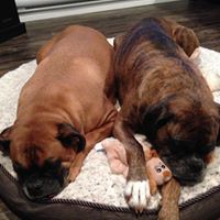 Joanne Desrosiers Photo 1