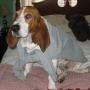 Scott Ragsdale Photo 20
