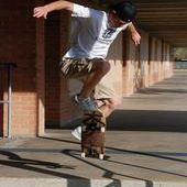 Trevor Henson Photo 1