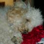 Jeannie Briggs Photo 8