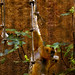 Michelle Gibbon Photo 24