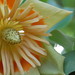 Susan Stroke Photo 11