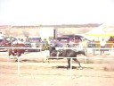 Homero Lucero Photo 6