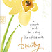 Kathy Bloom Photo 32
