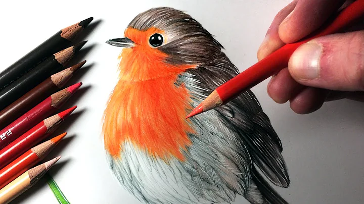Robin Branch Photo 30