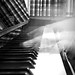 Daniel Plante Photo 35