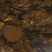 Stephen Shell Photo 36