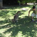 Jason Roos Photo 41