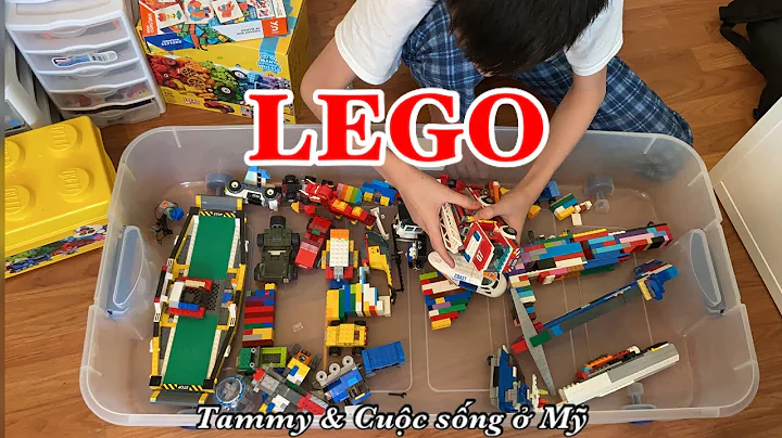 Tammy Lego Photo 3