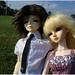 Joshua Doll Photo 31