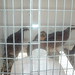 James Quail Photo 23