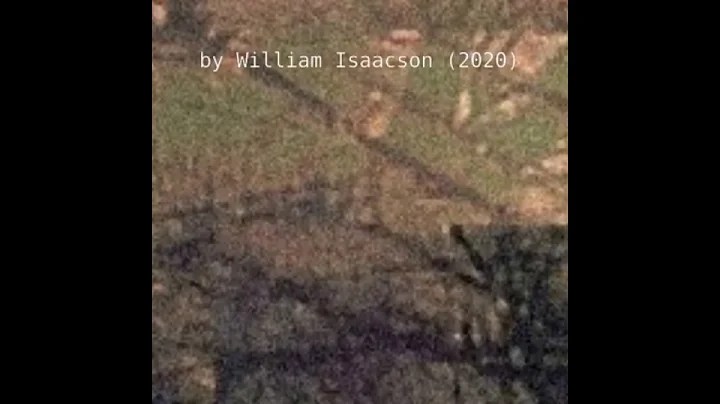 William Isaacson Photo 16