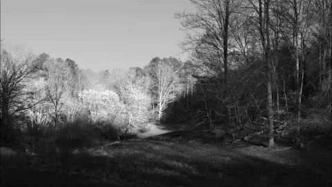 Glen Padgett Photo 19