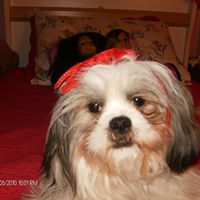 Nicole Freitas Photo 3