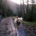 Everett Tucker Photo 35