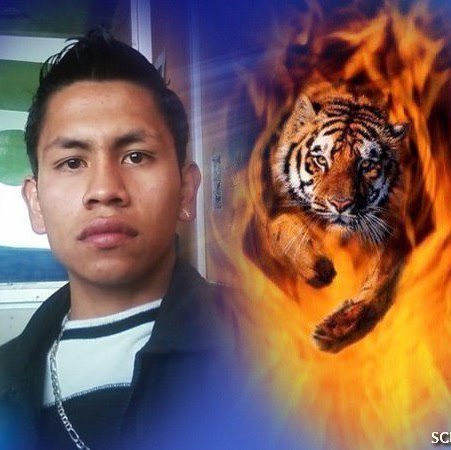 Abelardo Gonzalez Photo 15