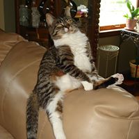 Kathy Thiessen Photo 7