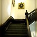 Troy Hawkes Photo 24