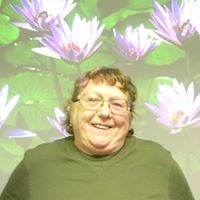 Linda Handler Photo 3