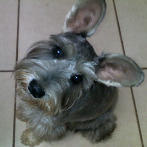 Karen Elizondo Photo 14