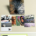 Amy Kirby Photo 41