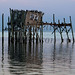 Thomas Guest Photo 34