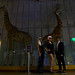 Charlie Chiang Photo 22
