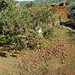 Michael Caceres Photo 40