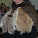 Tim Mantle Photo 15