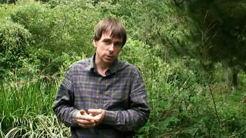 Martin Crawford Photo 31