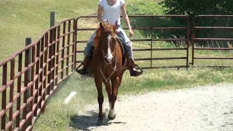 Lauren Mahaffey Photo 21