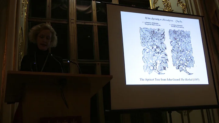 Joan Fitzpatrick Photo 25