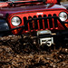 Dana Rausch Photo 17