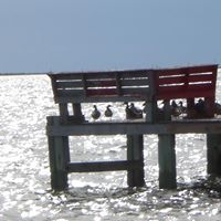 Helen Long Photo 7