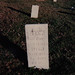 John Halford Photo 43