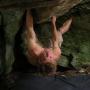 Andrew Conner Photo 30