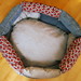 Jean Nest Photo 12
