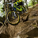 William Mick Photo 26