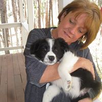 Lisa Geyer Photo 3