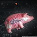 Roger Mashburn Photo 14