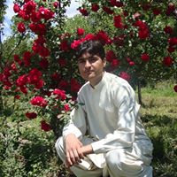 Mohammad Abid Photo 8