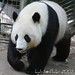 Mei He Photo 31