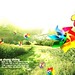 Chong Ng Photo 30