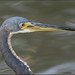 Stephen Parson Photo 23