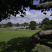 Norman Abbott Photo 26