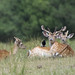 Elizabeth Wardle Photo 22