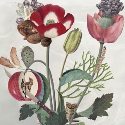 Eva Hayes Photo 9
