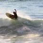Anthony Schneider Photo 26