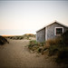 Laurie Cook Photo 40